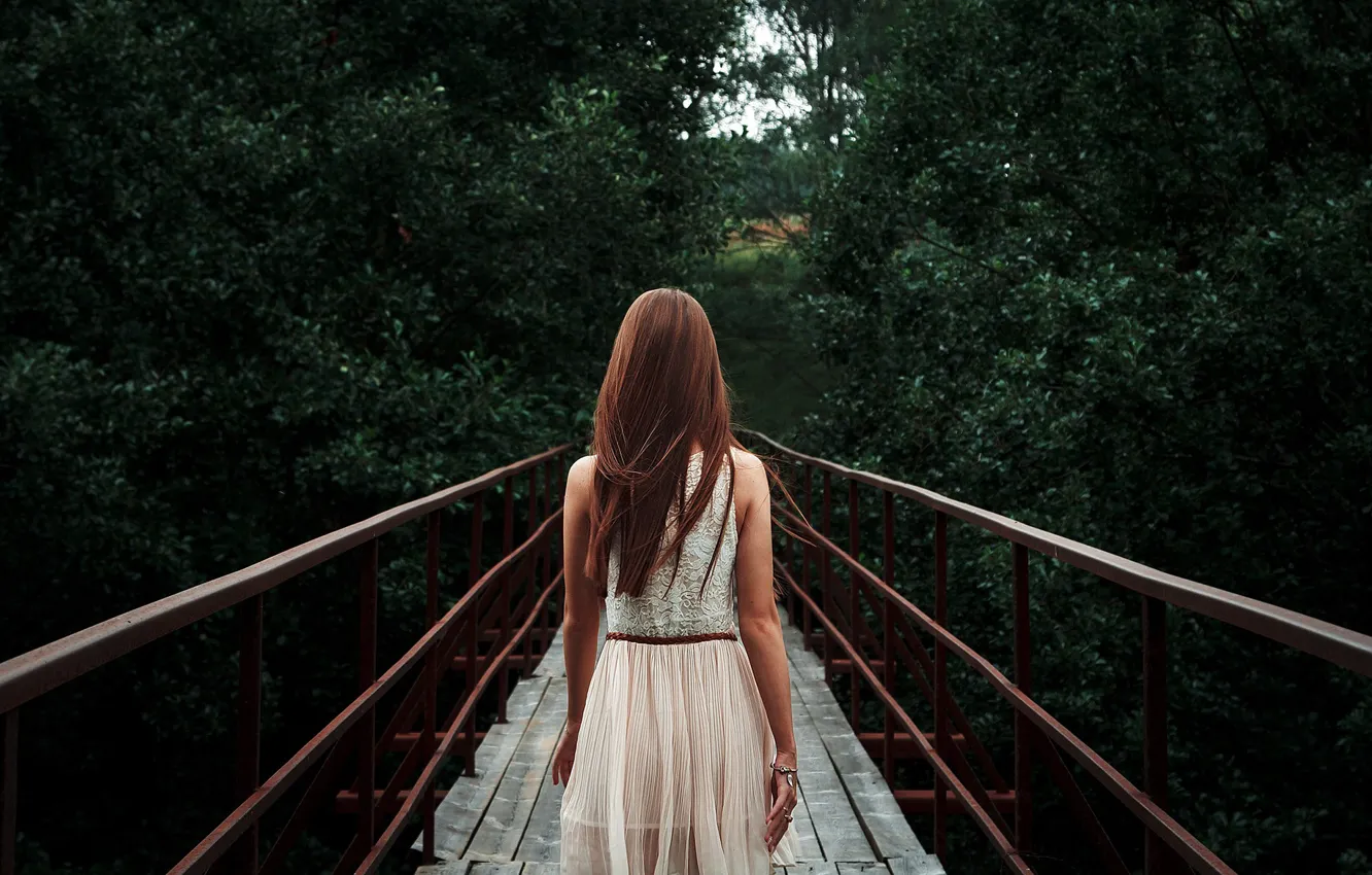Фото обои лето, девушка, мост, природа, волосы, спина, платье