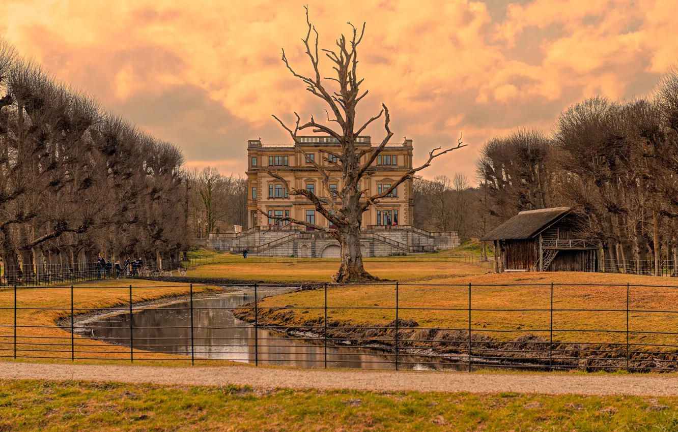 Фото обои осень, небо, облака, деревья, ветки, газон, забор, здания