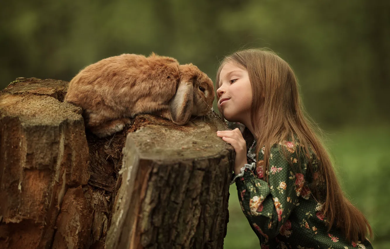 Фото обои животное, пень, кролик, девочка, ребёнок, Юлия Кубар
