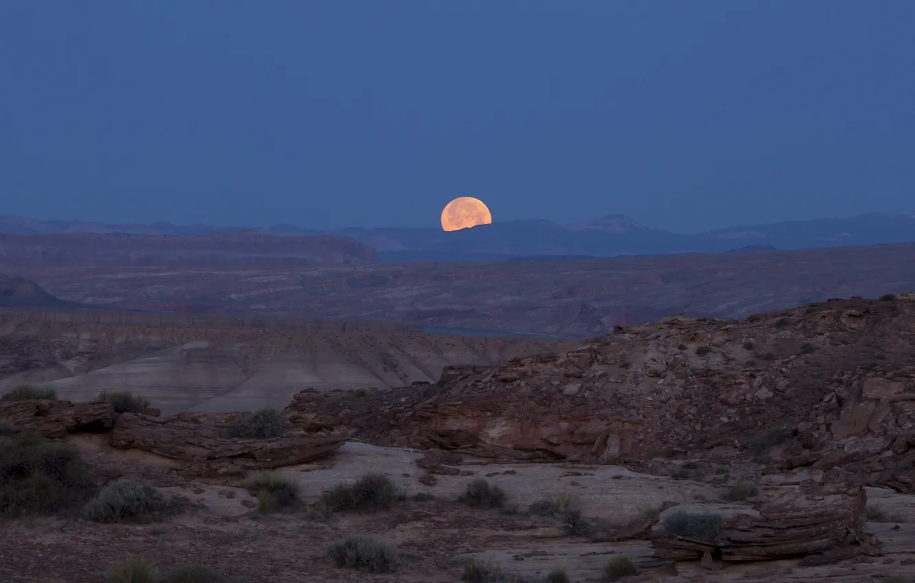 Фото обои ночь, луна, пустыня, фотограф, Юта, США, национальный парк, каньоны