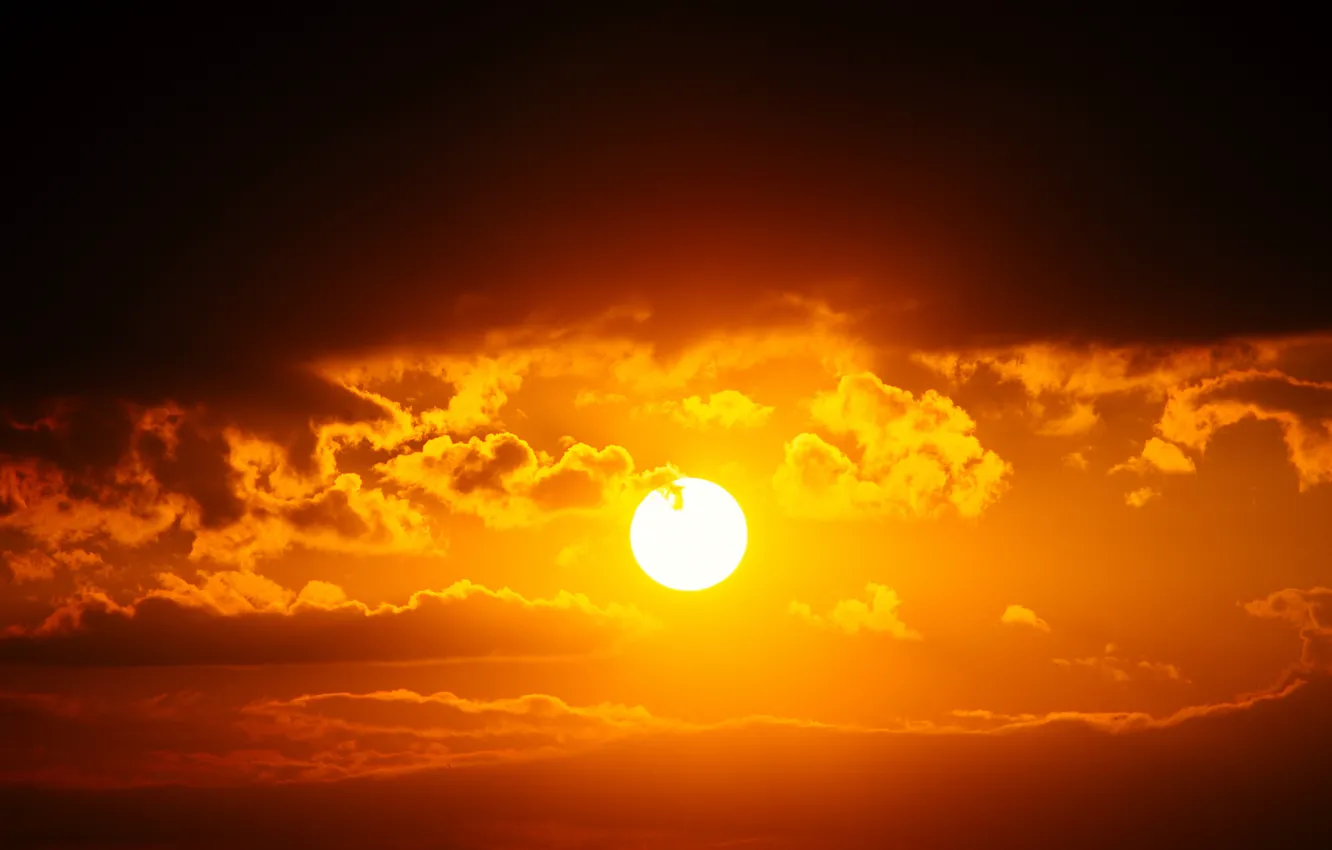 Фото обои sunset, clouds, sun