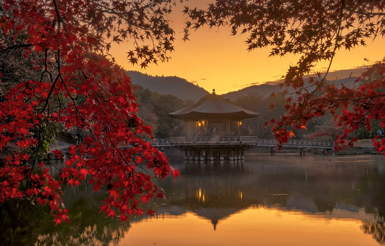 Фото обои осень, листья, пруд, Япония, беседка