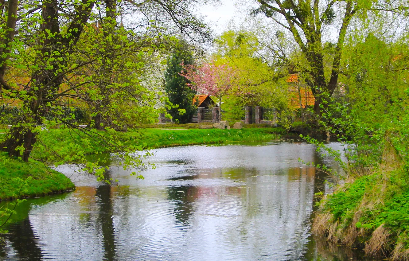 Фото обои water, park, lake, tree, spring, pond