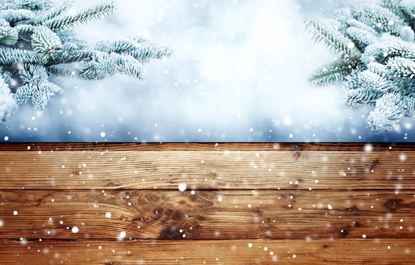 Фото обои зима, иней, снег, ветки, елка, мороз, wood, winter