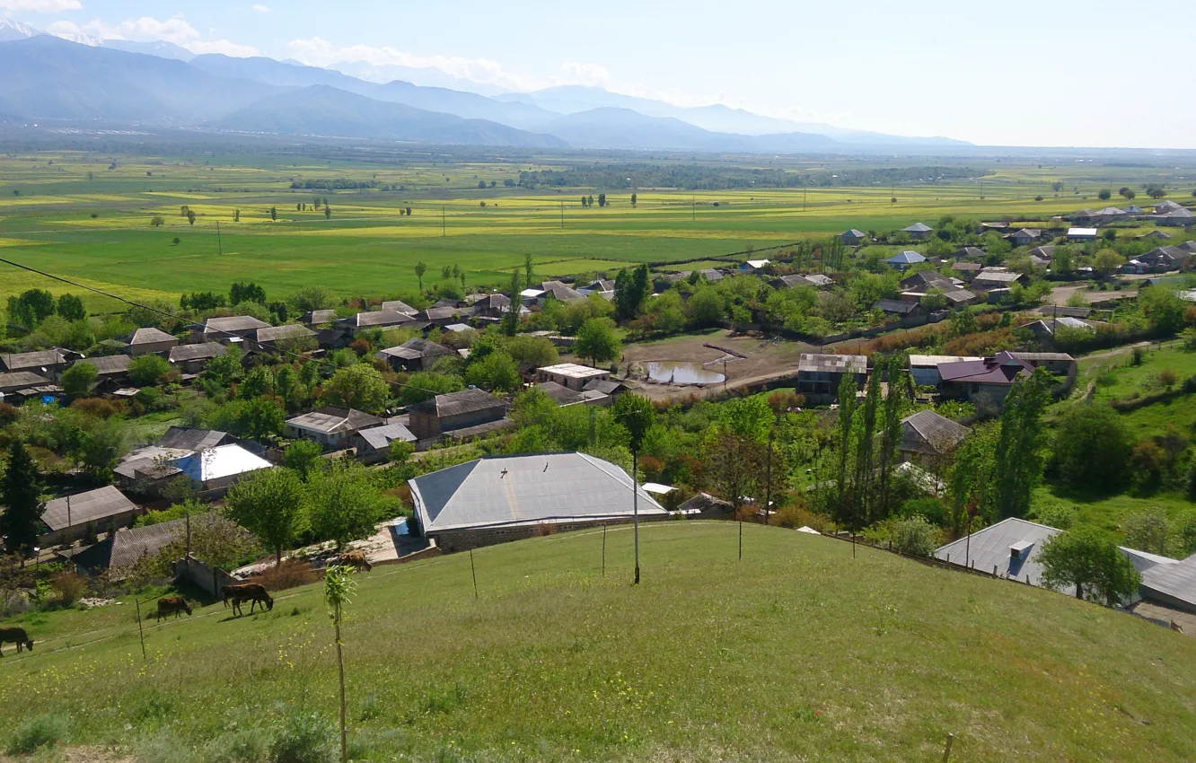 Фото обои деревня, Азербайджан, Azerbaijan, Шеки, кавказские горы, Caucasus