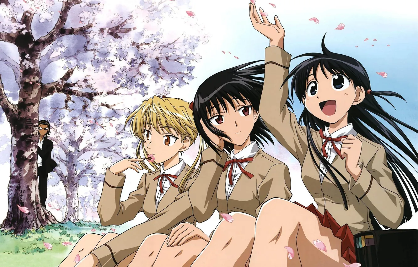 Фото обои девушки, сакура, школьницы, Sawachika Eri, Harima Kenji, Tsukamoto Tenma, School Rumble