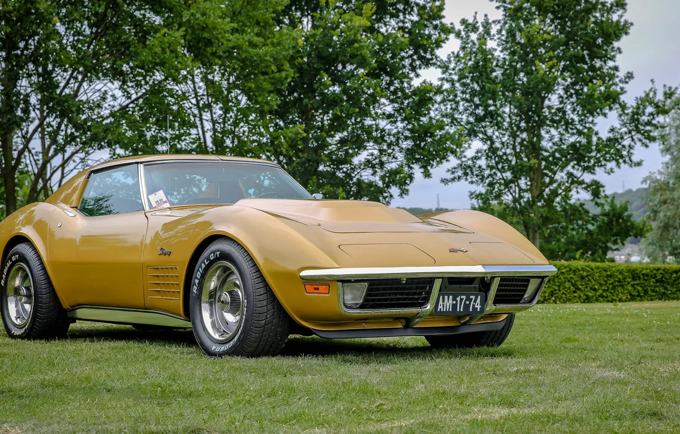 Фото обои Corvette, Chevrolet, Stingray