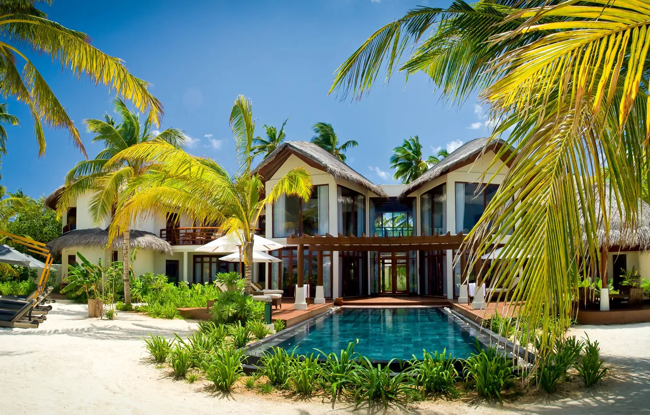 Фото обои пальмы, вилла, бассейн, экзотика, Maldives