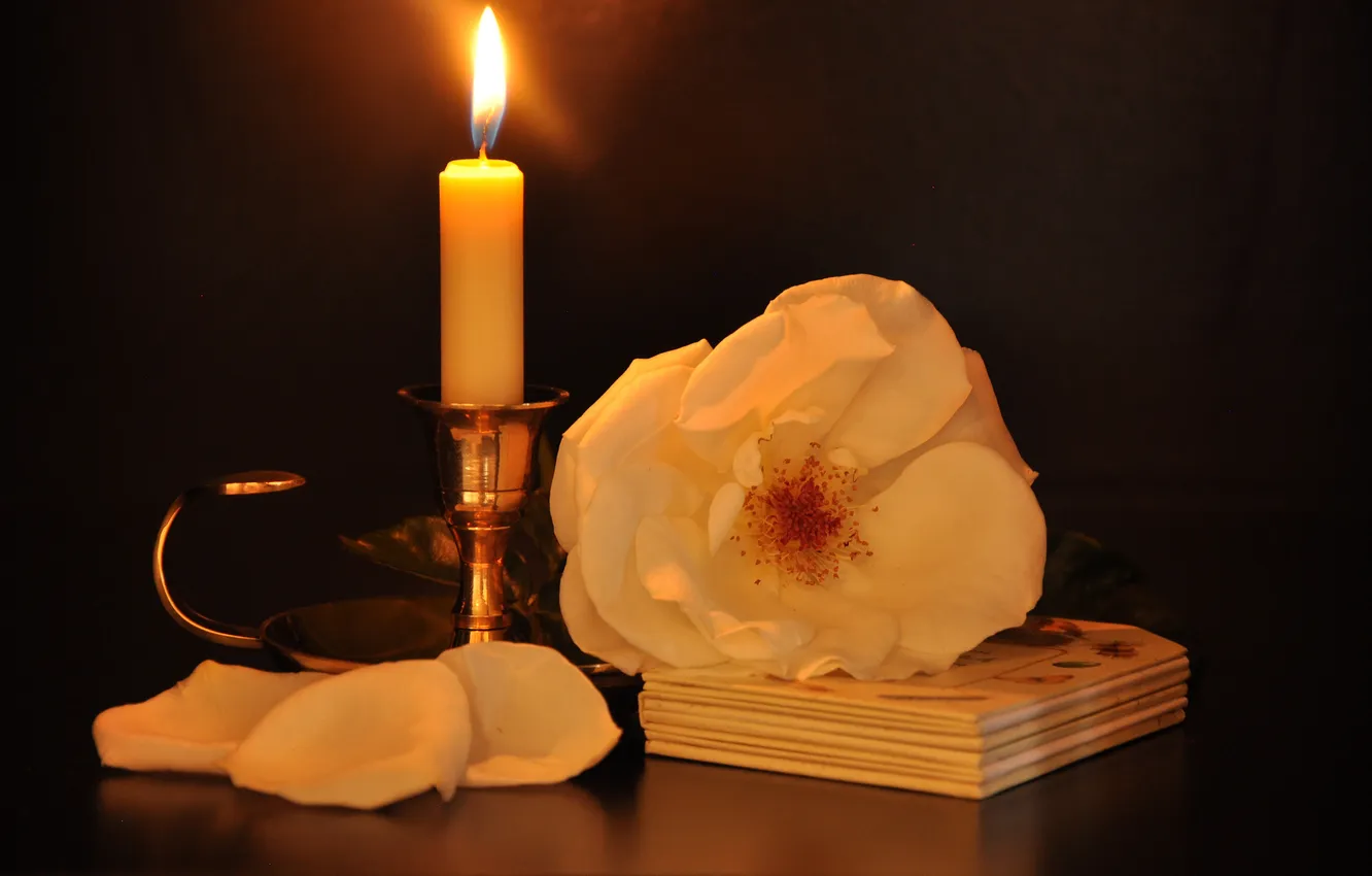 Фото обои роза, свеча, белая, чайная, подсвечник
