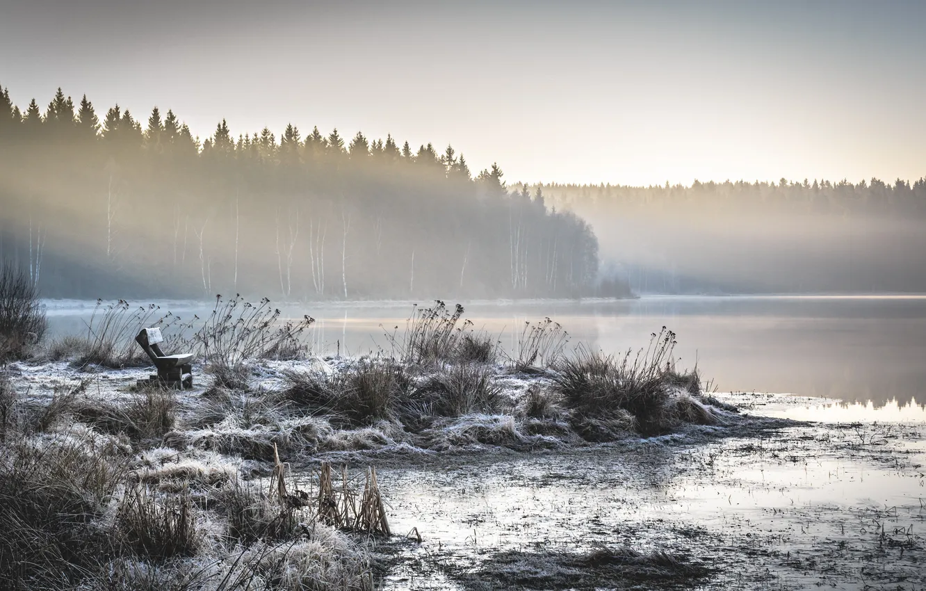 Фото обои пейзаж, природа, туман, озеро, утро, скамья