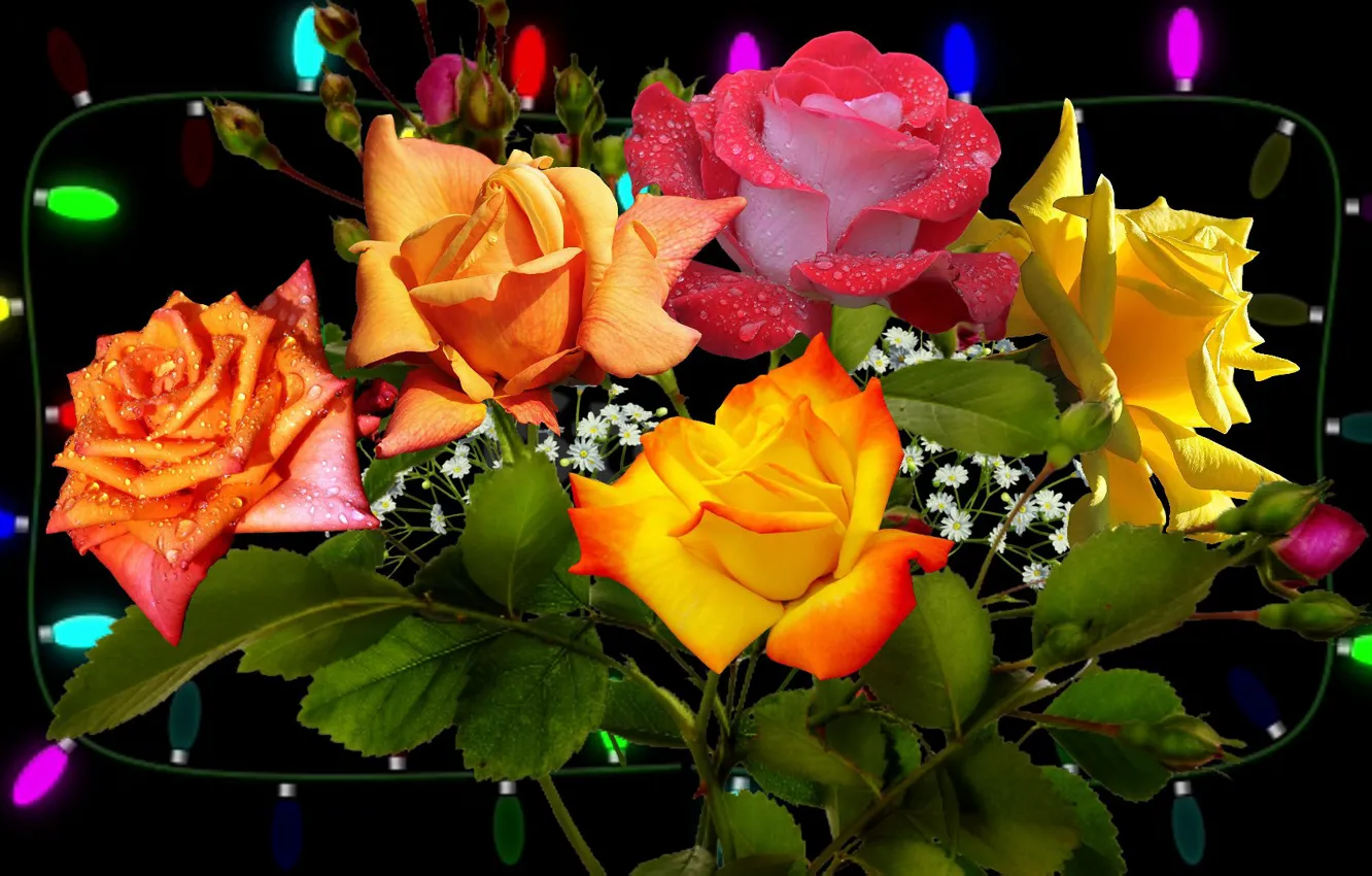 Фото обои цветы, розы, Букет