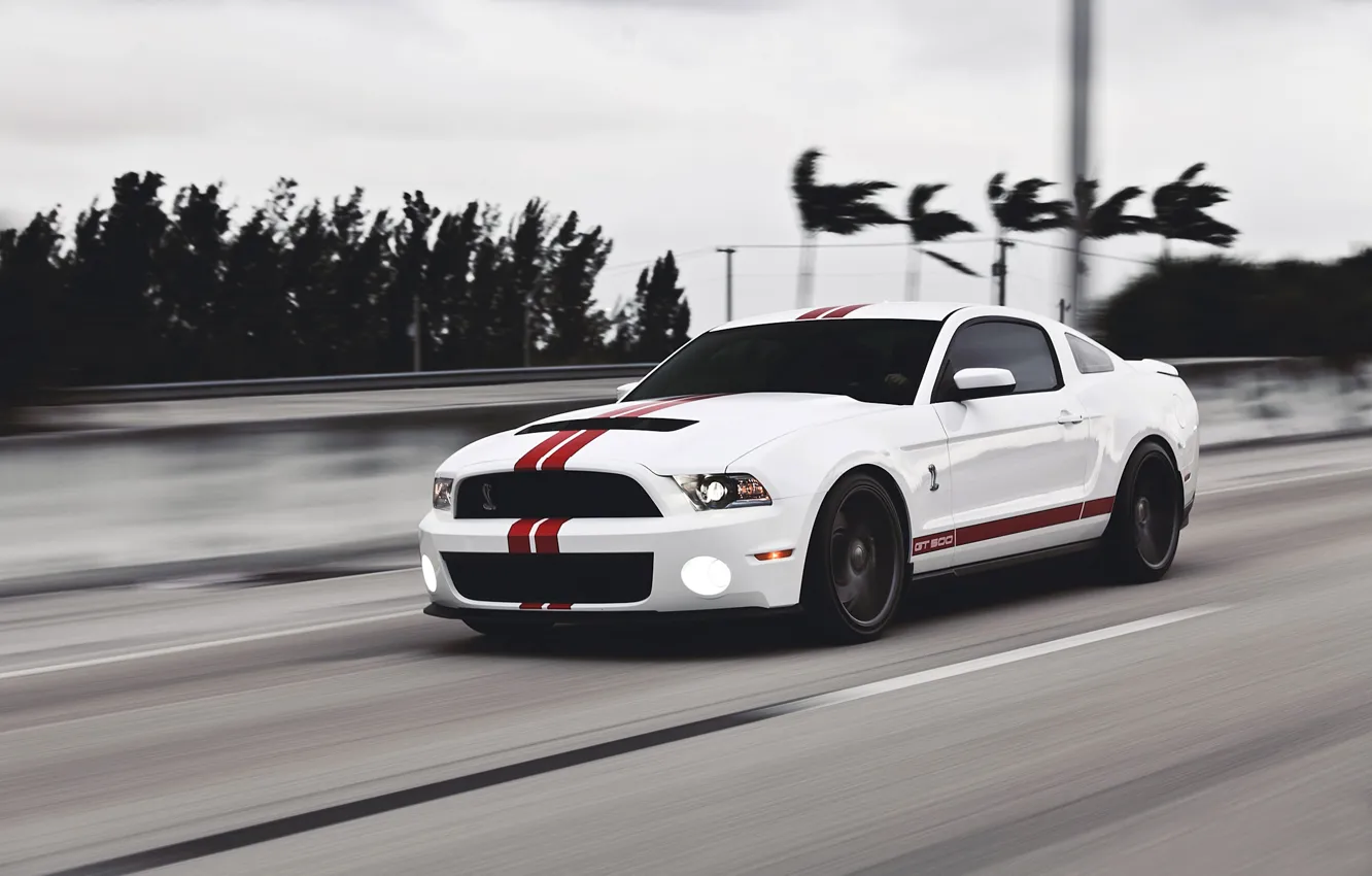 Фото обои дорога, белый, скорость, Mustang, Ford, Shelby, мустанг, мускул кар