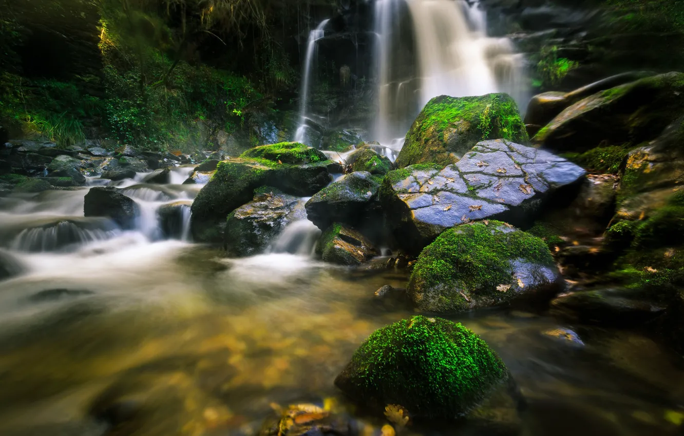 Фото обои камни, водопад, мох