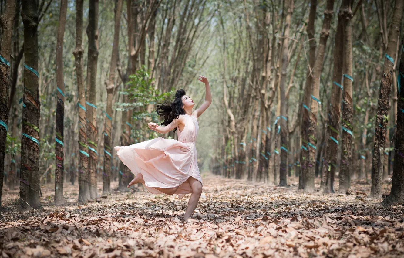 Фото обои лес, листья, деревья, волосы, платье, forest, танцы, dress