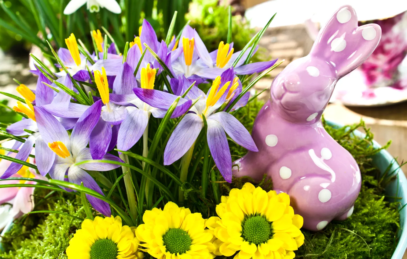 Фото обои цветы, весна, желтые, кролик, Пасха, фиолетовые, крокусы, статуэтка