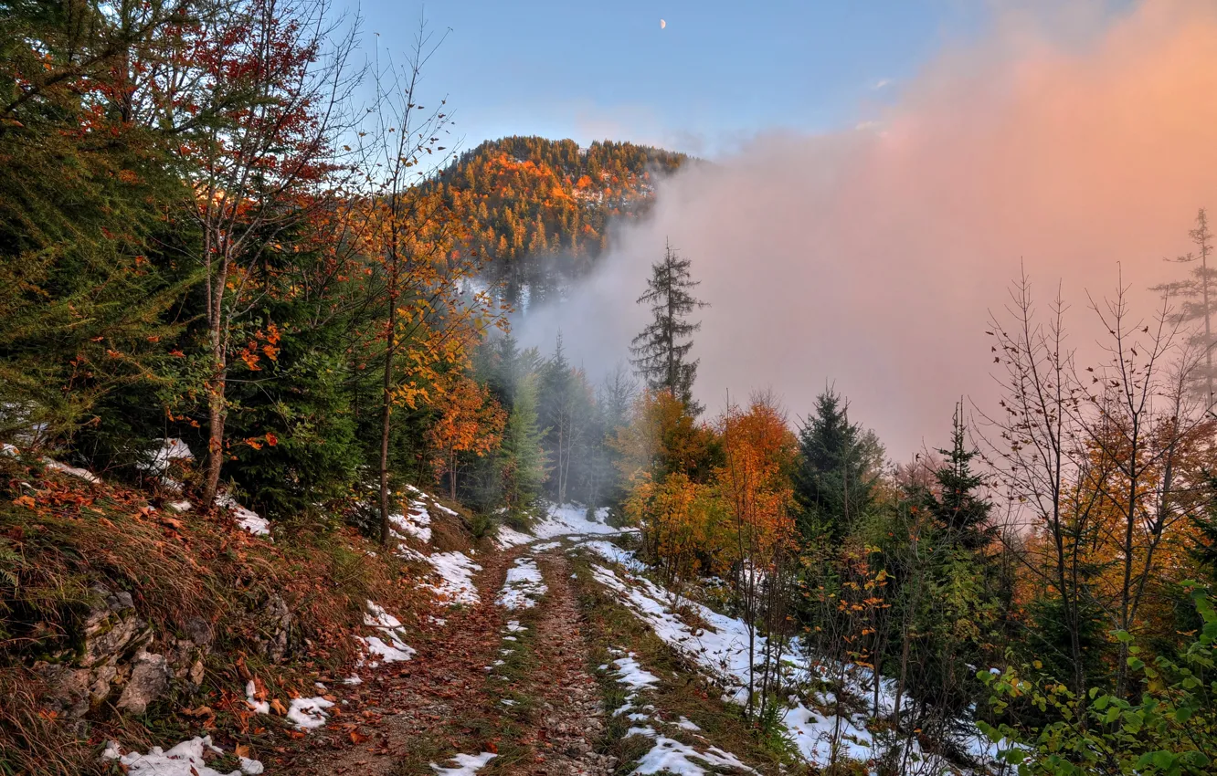 Фото обои дорога, осень, лес, небо, снег, деревья, горы, туман