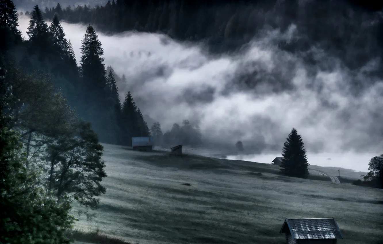 Фото обои пейзаж, горы, природа, туман, долина