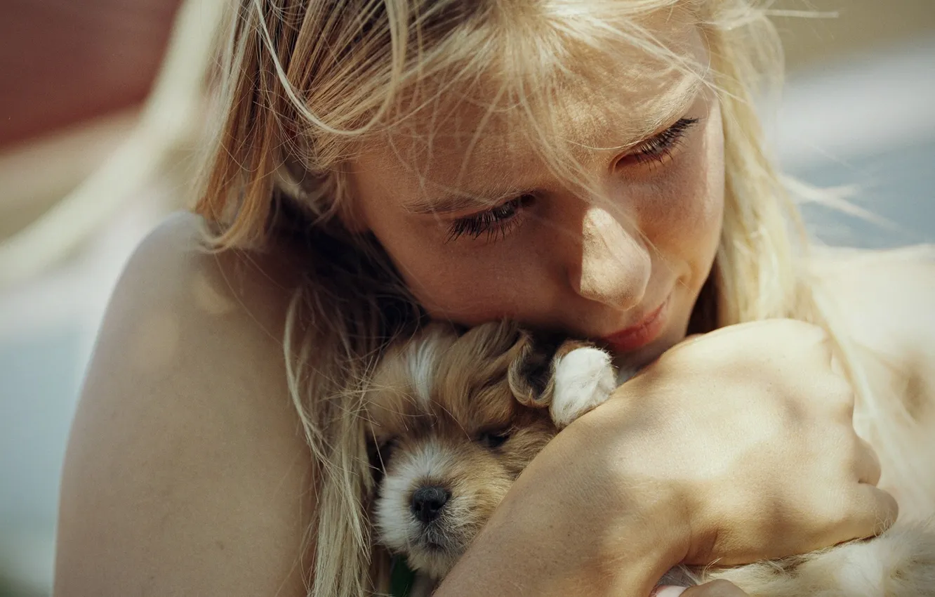 Фото обои нежность, Мария Шарапова, собачка, забота