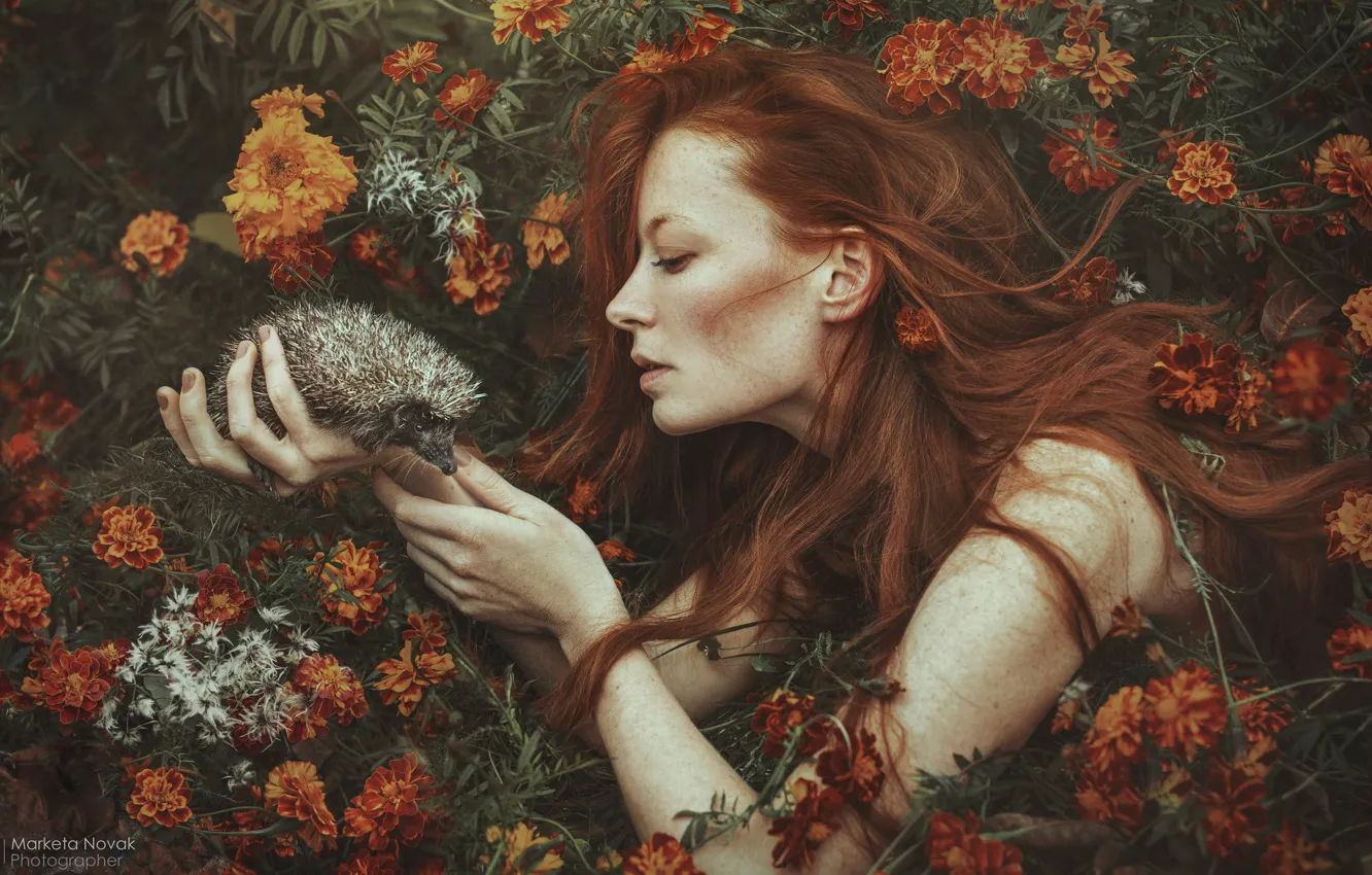 Фото обои девушка, цветы, лицо, настроение, руки, профиль, рыжая, рыжеволосая