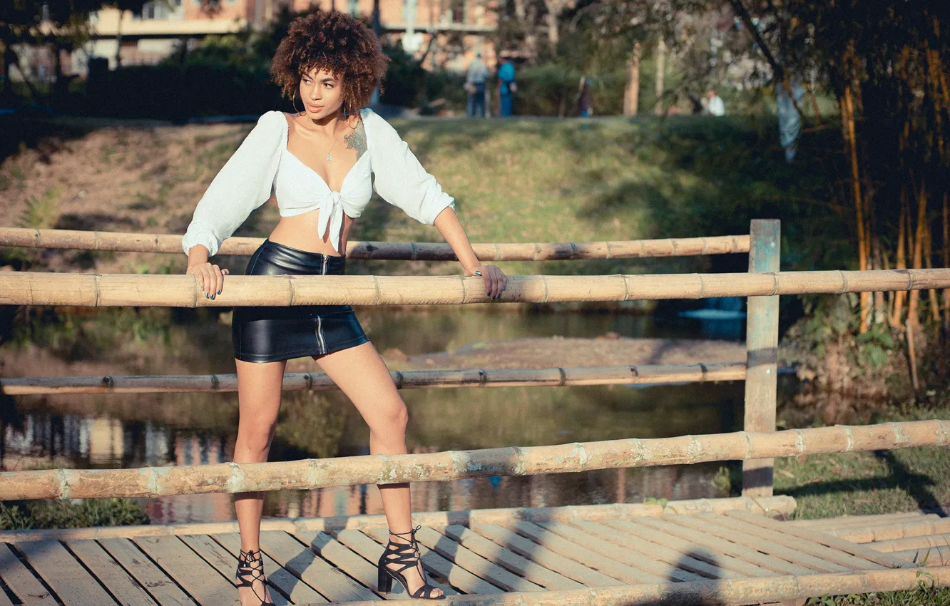 Фото обои girl, hot, fashion, model, Ebony, pose