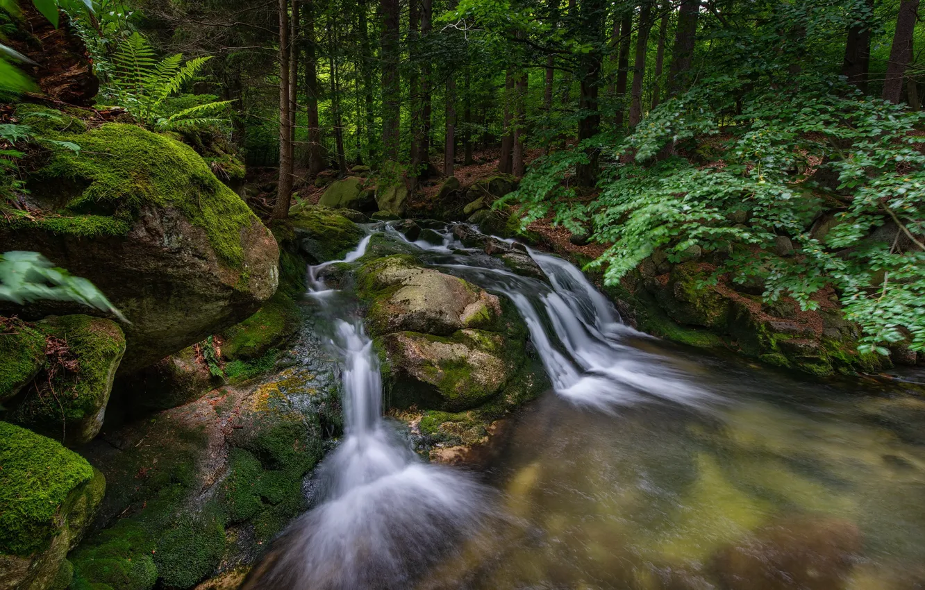 Фото обои лес, пейзаж, природа, камни, водопад