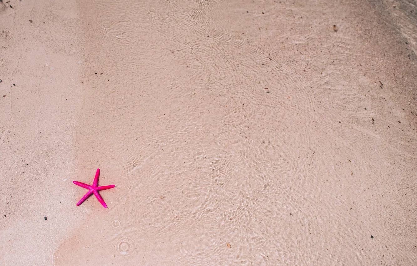 Фото обои песок, море, пляж, вода, природа, морская звезда, beach, sea