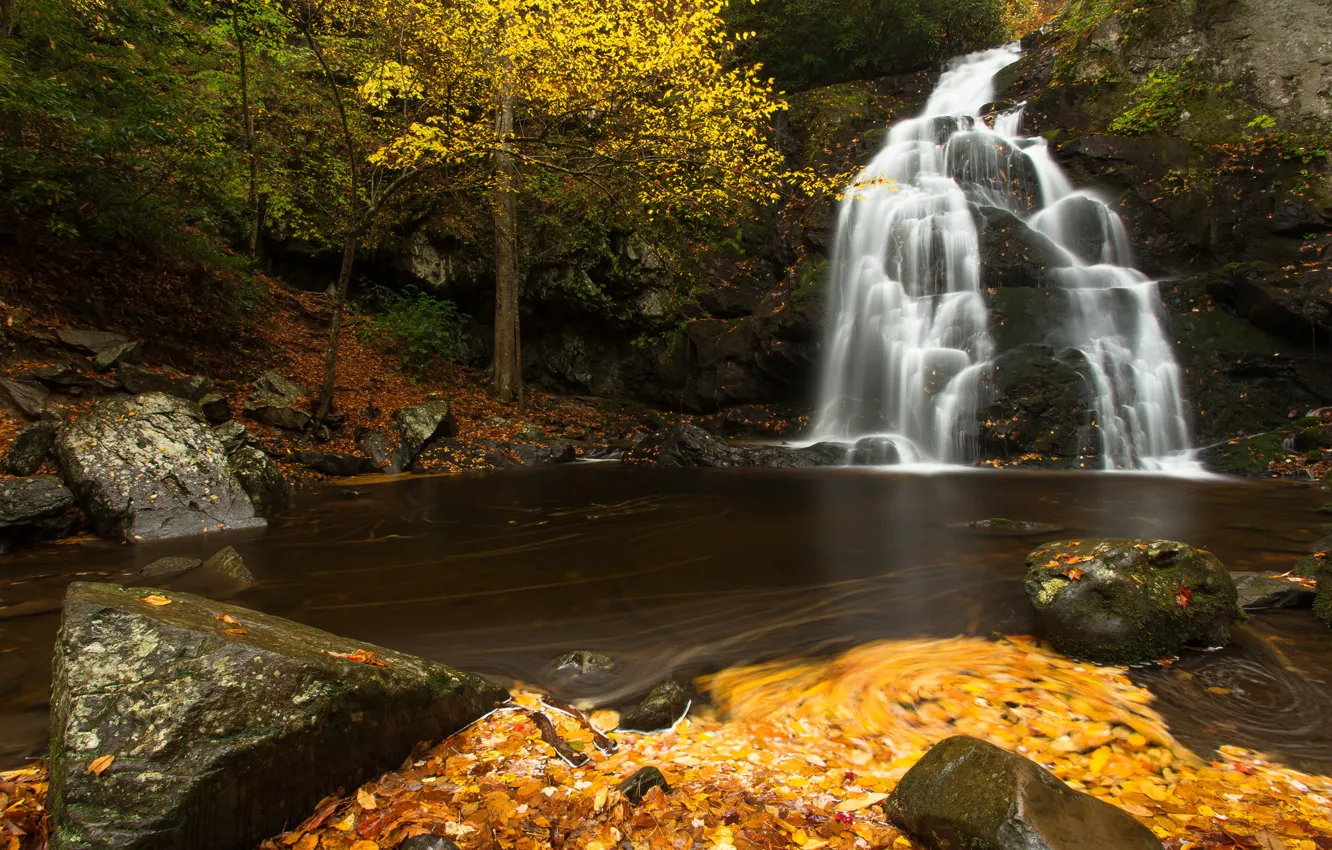 Фото обои осень, листья, река, камни, водопад, каскад, Tennessee, Теннесси