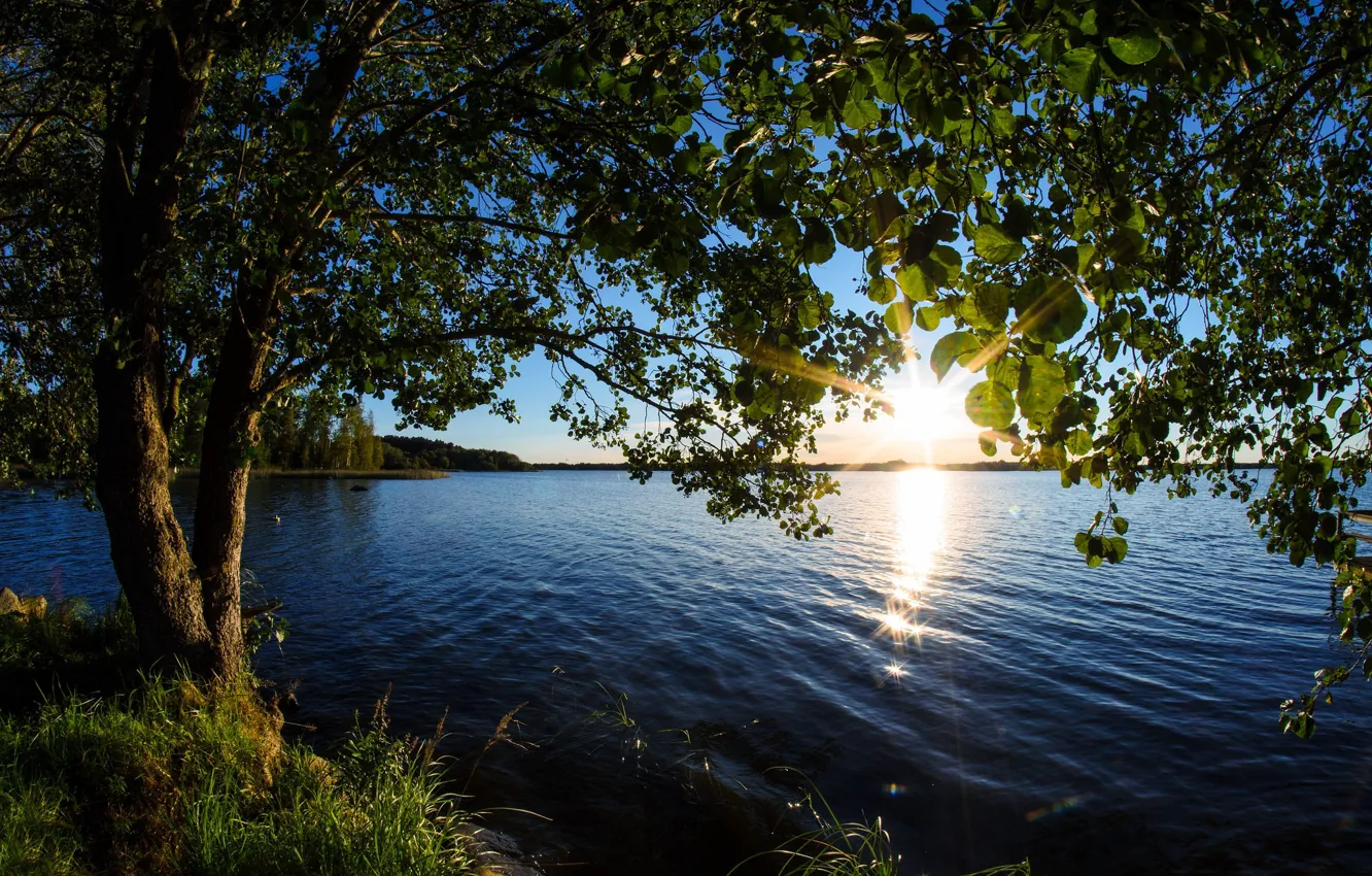 Фото обои солнце, закат, озеро, Финляндия, Lake Hinjärv