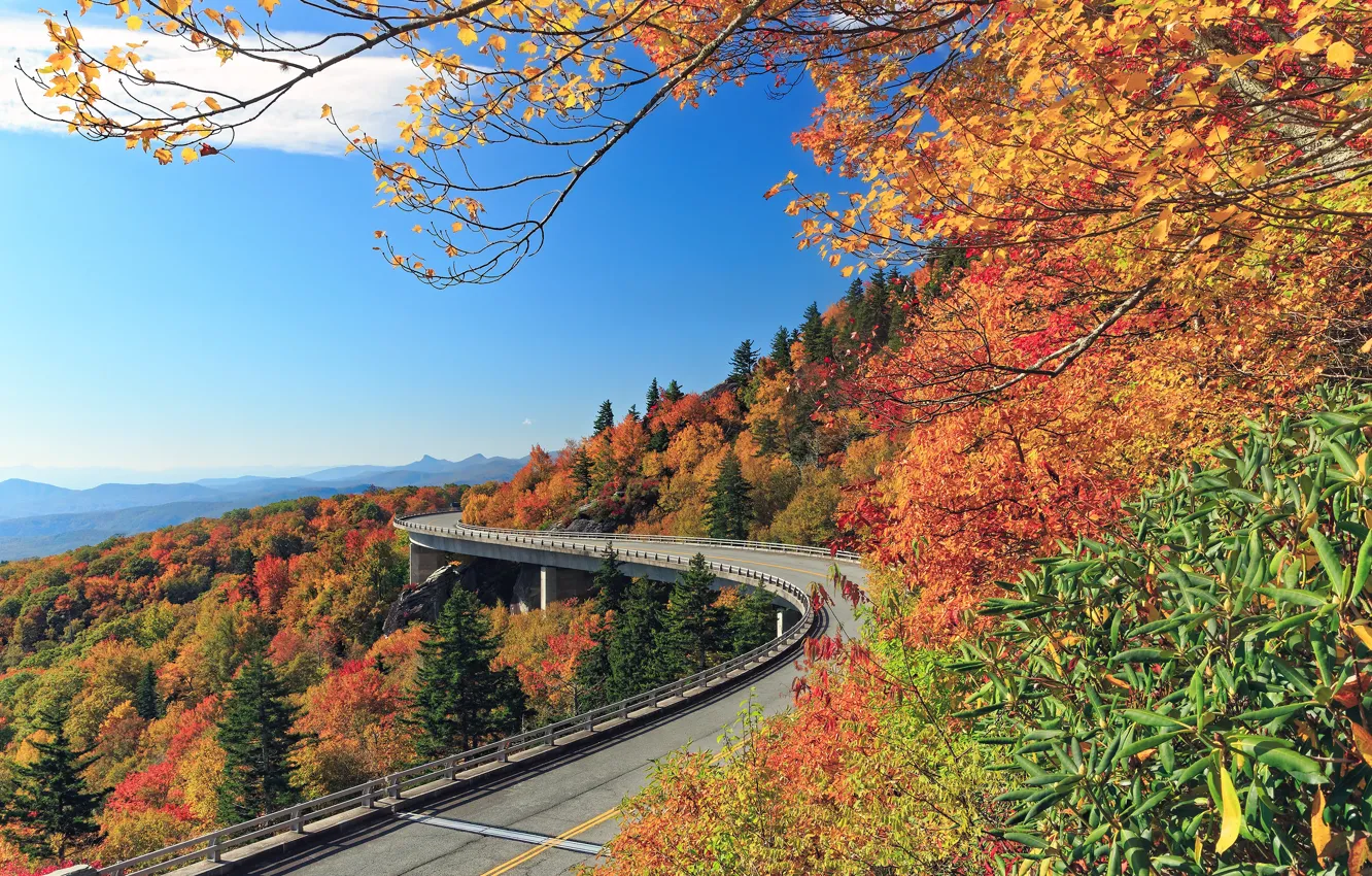 Фото обои дорога, осень, лес, деревья, горы, North Carolina, Северная Каролина, Blue Ridge Mountains
