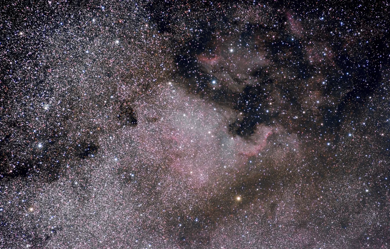 Фото обои звезды, туманность, nebula, North America