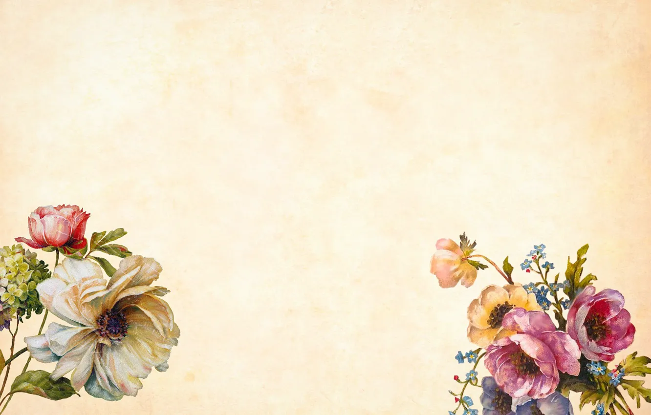 Фото обои цветы, фон, Текстура, бежевый