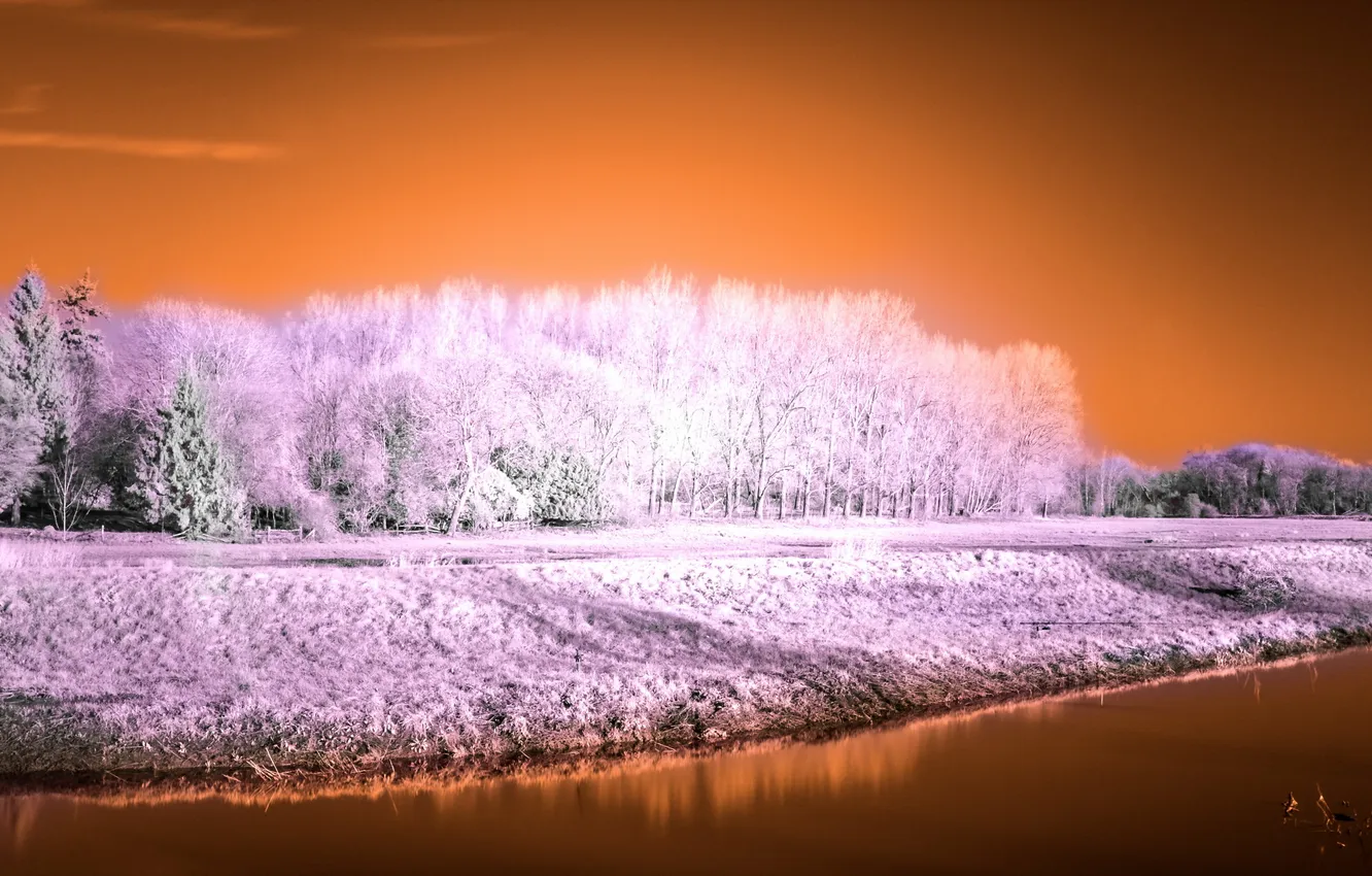 Фото обои пейзаж, река, False colour