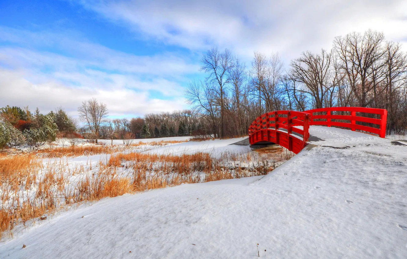Фото обои зима, небо, снег, деревья, мост, парк