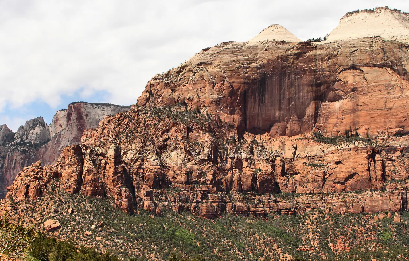 Фото обои небо, деревья, пейзаж, горы, Zion National Park, Utah, национальный парк Зион