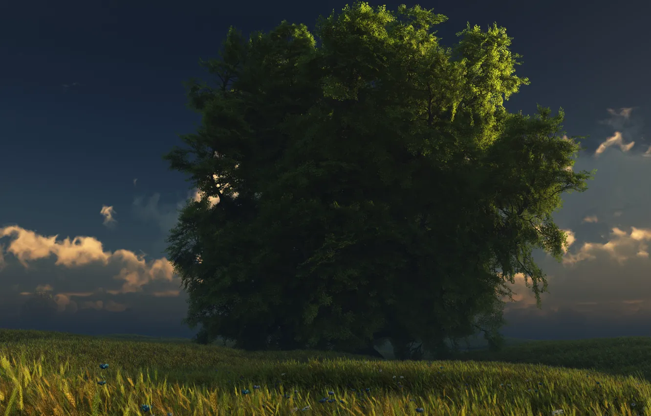 Фото обои небо, трава, облака, дерево, digital, green and gold