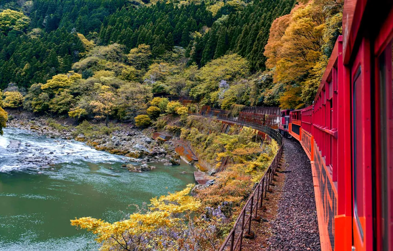 Фото обои поезд, Япония, Киото, железная дорога Сагано