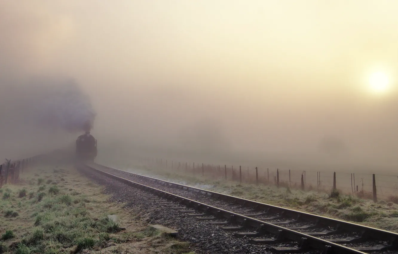 Фото обои туман, рельсы, поезд, утро, Steam train in the fog