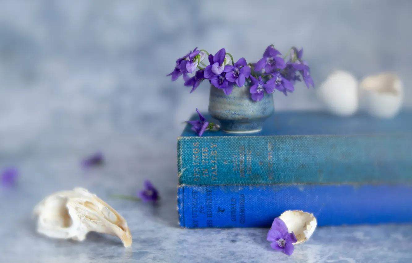 Фото обои цветы, книги, череп, размытие, натюрморт, анютины глазки, блюр, букетик