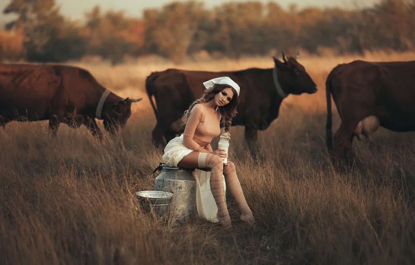 Фото обои поза, чулки, коровы, молоко, луг, Даша, доярка, Валерия Мытник