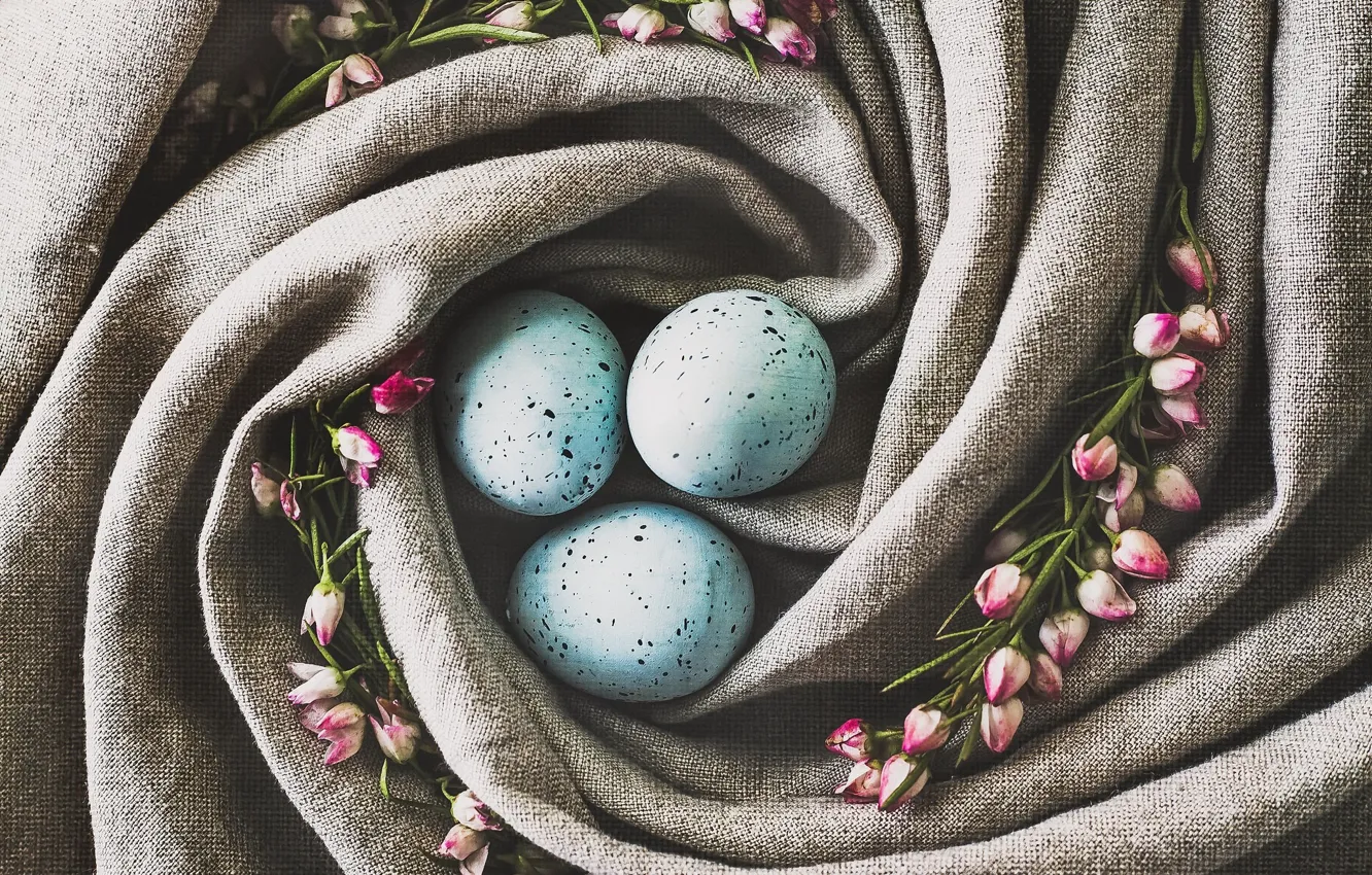 Фото обои цветы, яйца, гнездо