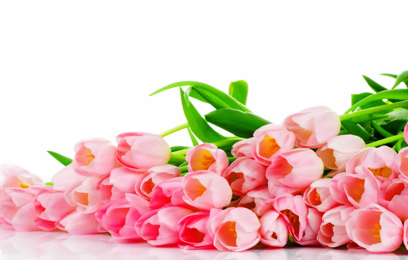 Фото обои цветы, букет, тюльпаны, розовые, pink, flowers, tulips