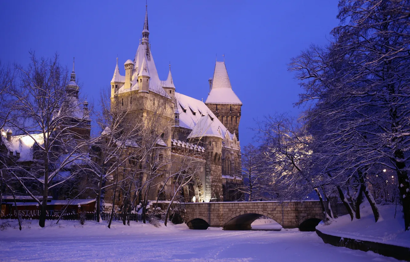 Фото обои зима, снег, город, фото, замок, Венгрия, Budapest, Vajdahunyad