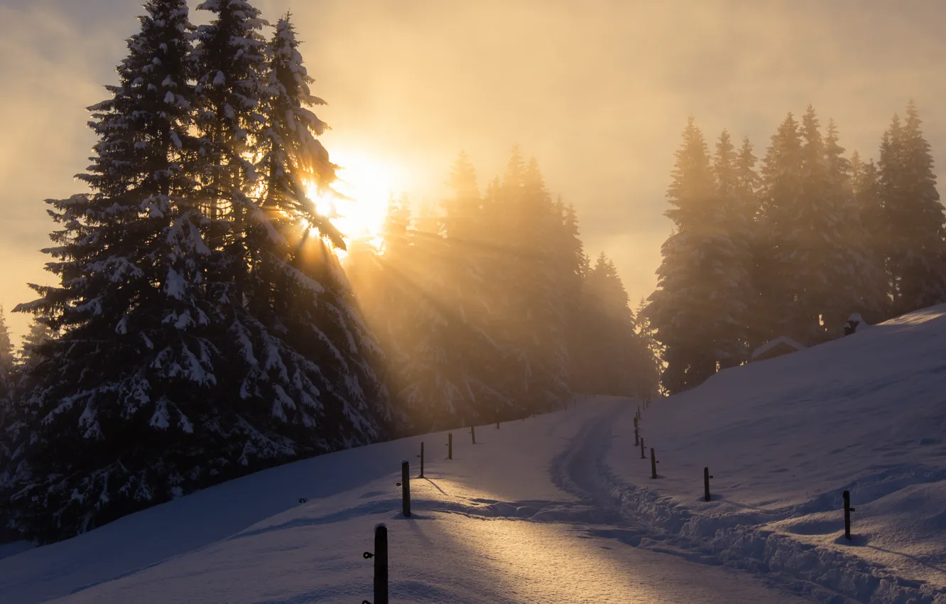 Фото обои зима, солнце, свет, снег, Франция, Декабрь