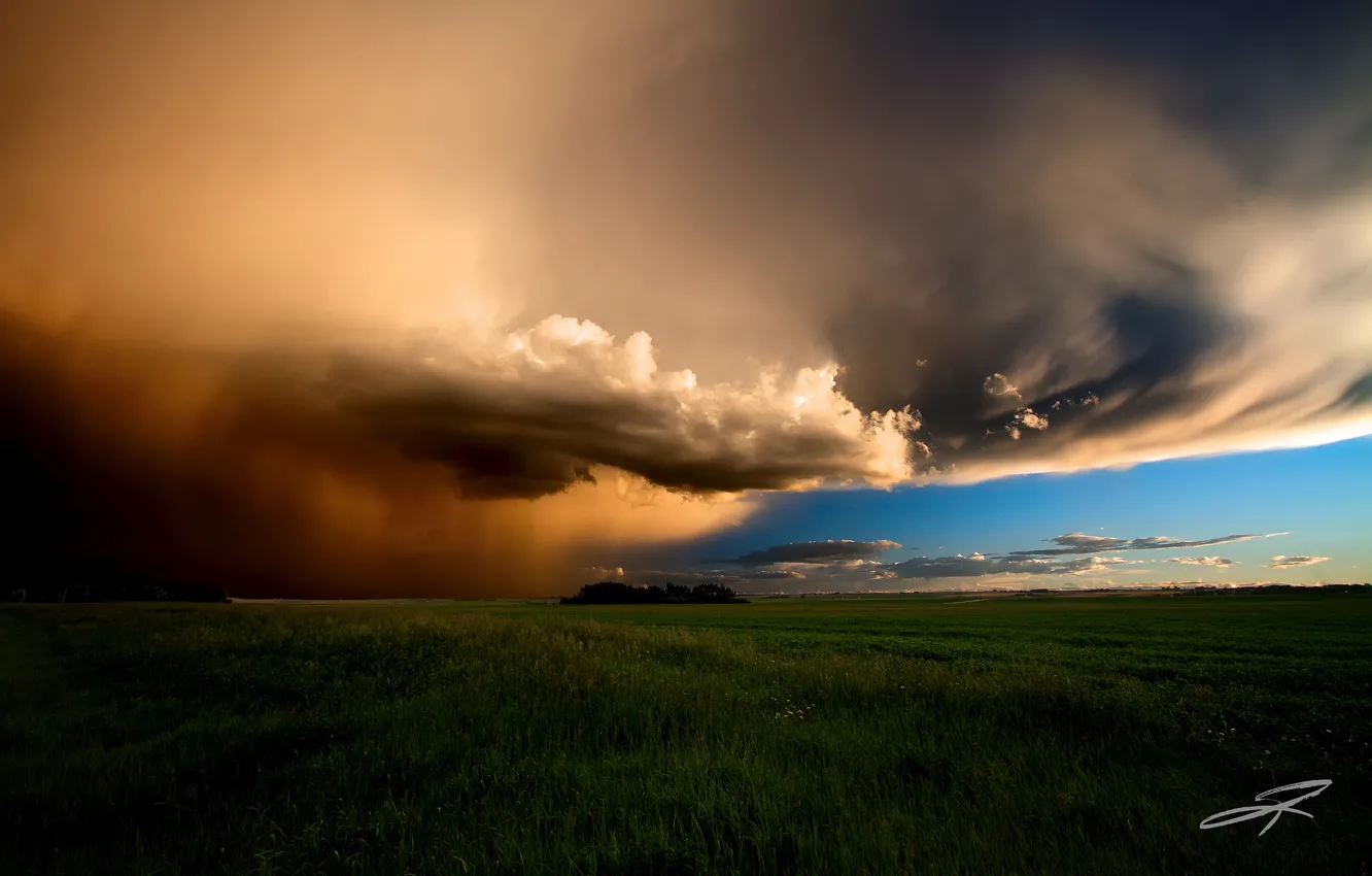 Фото обои поле, лето, небо, тучи, Канада, Альберта, Июнь, вечерний шторм