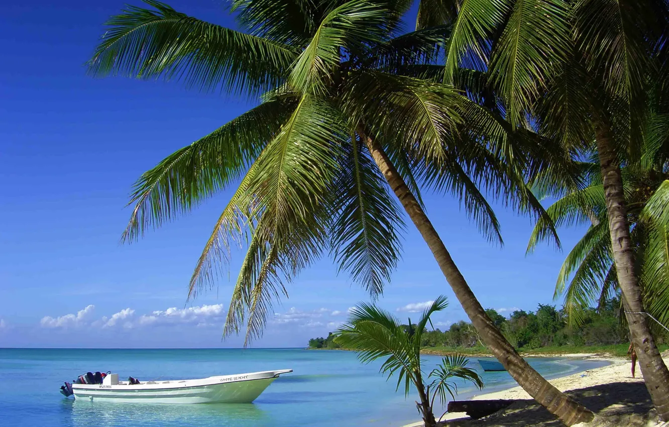 Фото обои пляж, пальмы, океан, лодки