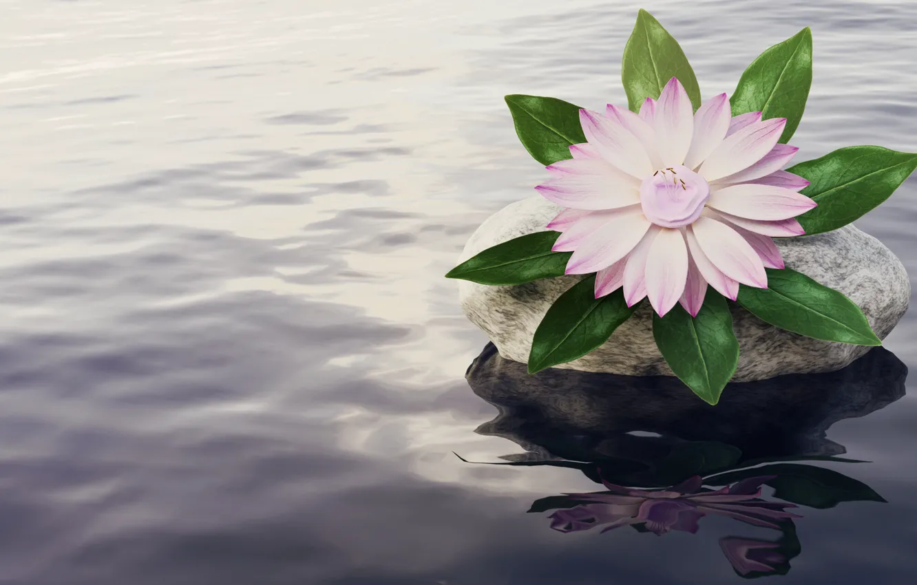 Фото обои цветок, вода, рендеринг, розовый, камень, водоем, компьютерная графика, нимфея