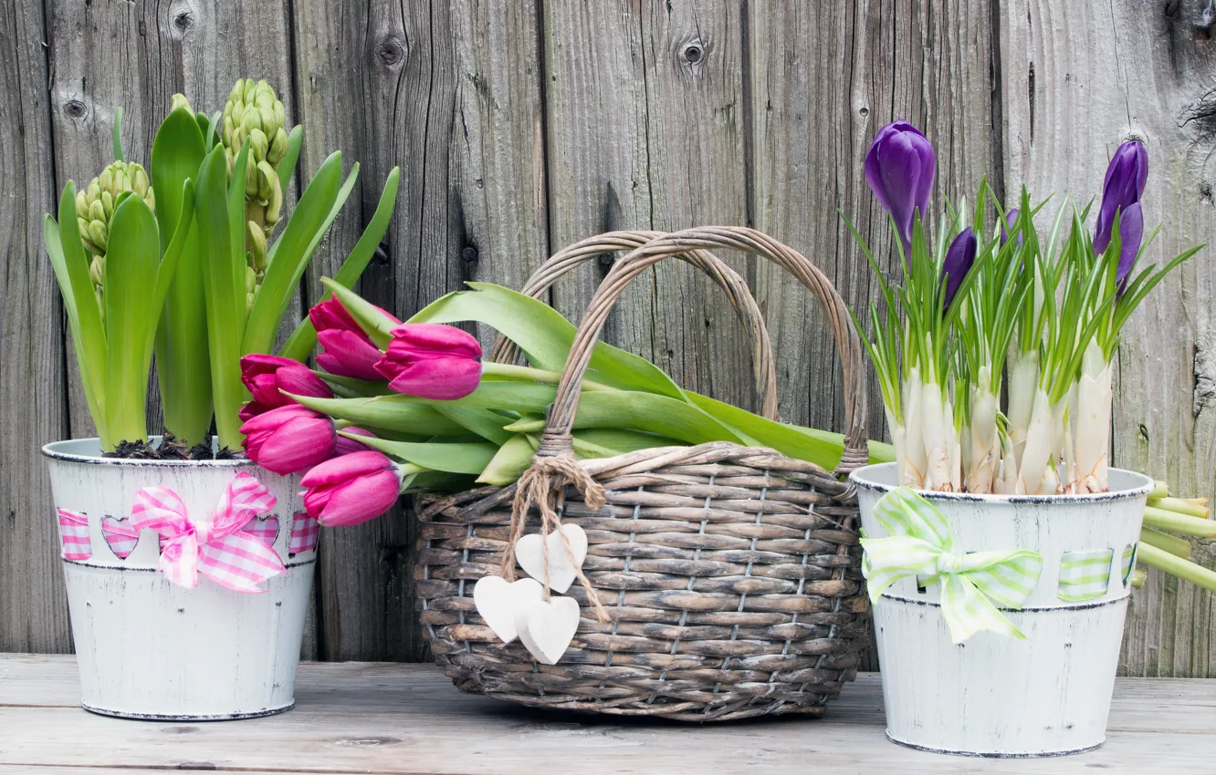 Фото обои цветы, букет, крокусы, тюльпаны, корзинка, wood, flowers, romantic