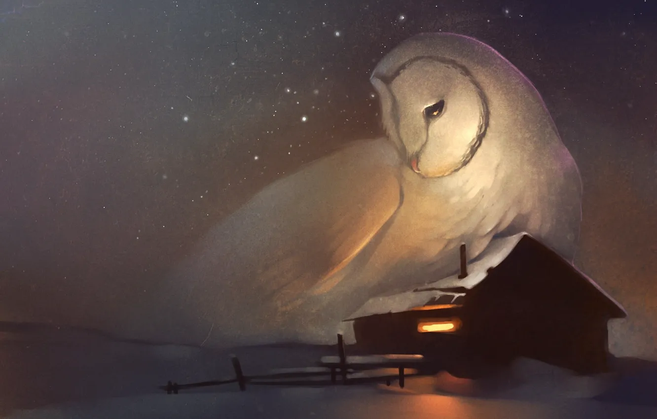 Фото обои зима, дом, сова, звёзды, окно, арт
