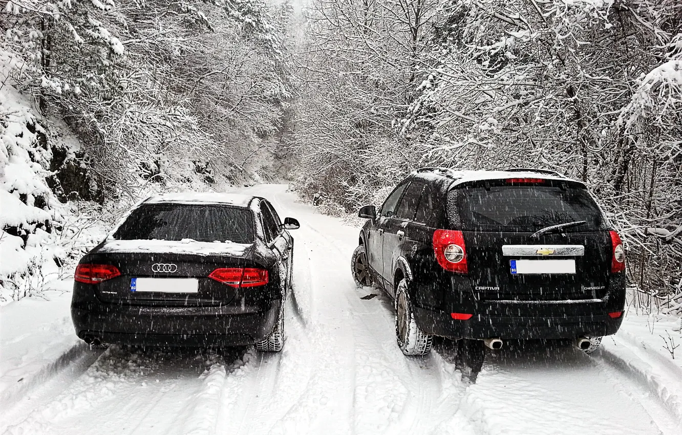 Фото обои Audi, chevrolet, winter, snow, bulgaria, captiva