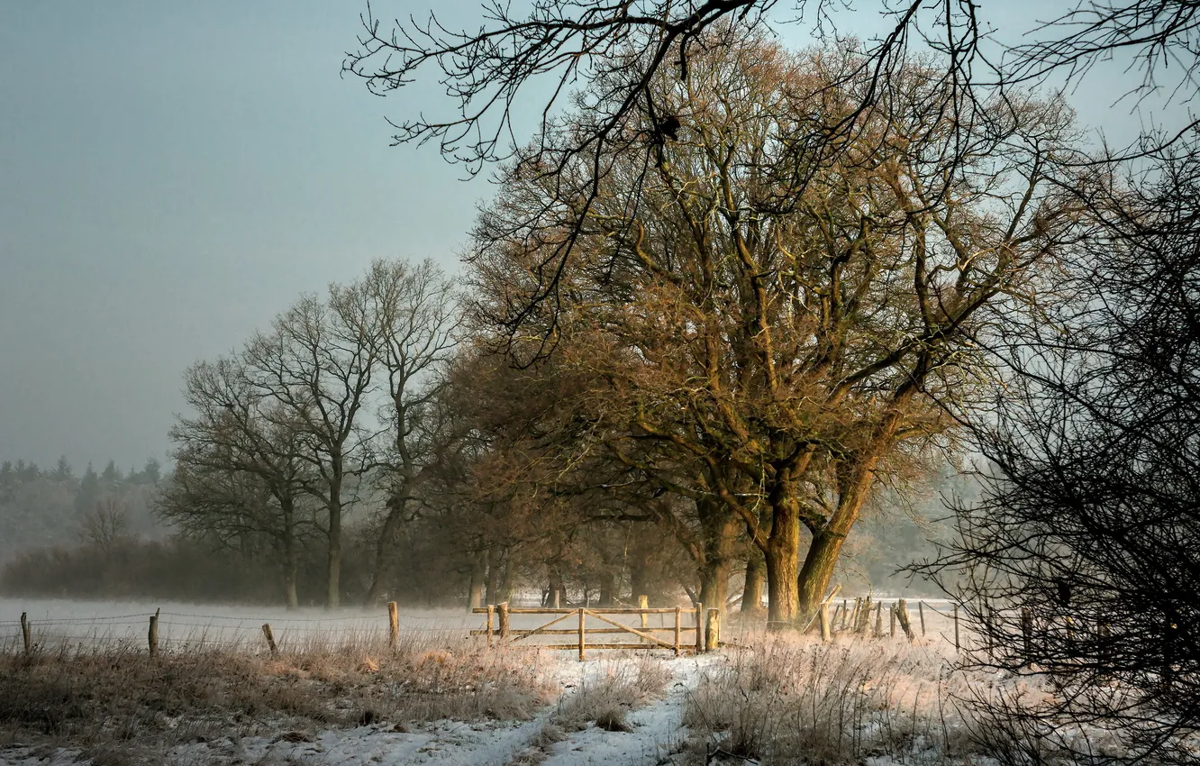 Фото обои зима, поле, пейзаж, забор